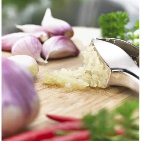 None Spremiaglio Professionale Da Cucina Tritacarne Lo Zenzero Spremiagrumi Resistente 5 None Spremiaglio Professionale Da Cucina Tritacarne Lo Zenzero Spremiagrumi Resistente - immagine 3